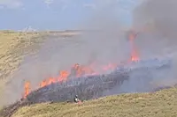 Grote brand in duinen bij Wassenaar: kijk hier live mee naar de situatie