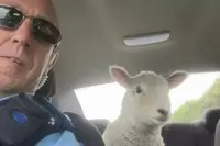 Gewoon een verzameling hilarische foto's #2257