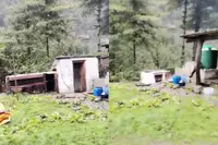 Mensen staan enorme aardverschuiving in Nepal te filmen en beseffen dan dat ze beter kunnen rennen