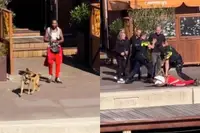 Toeristen filmen bizarre minuten na dodelijke schietpartij op NDSM-terrein Amsterdam