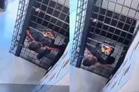 Man perst zich uit politiecel in Brazilië en komt nog even terug voor zijn schoenen