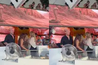 Mooie beelden van Michael van Gerwen die heerlijk op Ibiza aan het genieten is