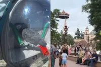 Bezoeker neemt papegaai mee in Efteling-attracties en zorgt voor flinke ophef