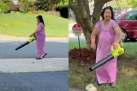 Buurvrouw uit de hel blaast alle bladeren naar de buren en schreeuwt de hele buurt bij elkaar