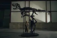 Iemand heeft zojuist 47 miljoen dollar betaald voor een dinosaurus van 67 miljoen jaar oud