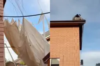 Parachutist landt op dak van Rus en vraagt doodleuk om een ladder