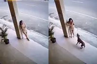 Vrouw vlucht voor blaffende hond en ontsnapt aan instortend plafond, maar één detail valt op