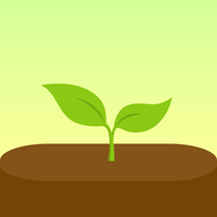 Forest -Focus for Productivity