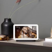 Google Nest Hub 2 kopen