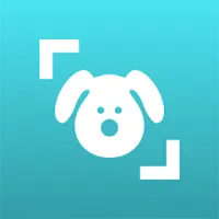 Dog Scanner: Hondenrassen