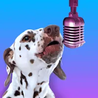 PetStar: My Pet Sings Singing e-cards