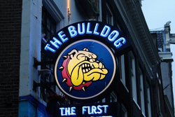 Amsterdamse 'koffiezaak' The Bulldog verlies 65,7 miljoen euro in recthszaak tegen Red Bull