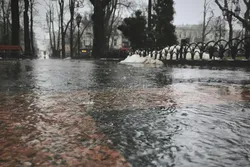 Nederland opgelet: vanaf deze dag gaat het weer flink regenen