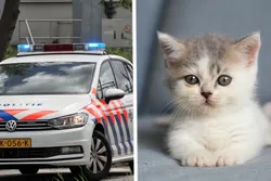 Capelle: Politie zoekt seriemoordenaar die dieren op bizarre wijze vermoord