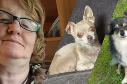 Dit weten we over spoorloos verdwenen Anette en twee hondjes uit Valkenswaard