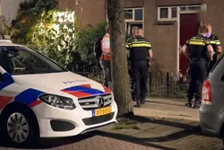 Man gedood door honden in Rotterdam