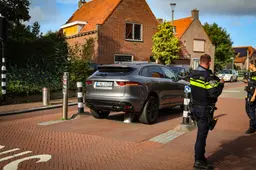 Jaguar Pollen Valkenburg1