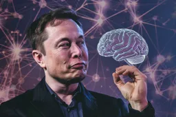 gerucht elon musk vraagt nvidia om ai chips voor x en xai boven tesla