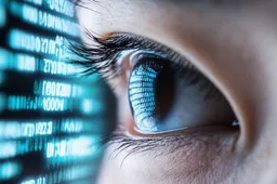 onrust over deepseeks privacybeleid gegevens opgeslagen in china