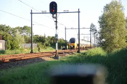 img 1358