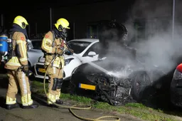 DSC02424_resized kopiëren