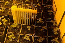 2e42418e-49b7-4701-a41d-491d2d936a09