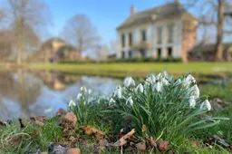 Sneeuwklokjes, vijver, huis en koetshuis