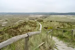 20170926_Schoorlsche_Duinen8 Wikipedia - Gouwenaar