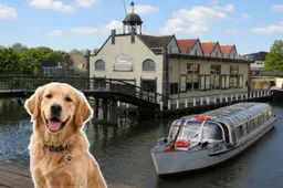 int honden dag mbv