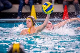 versteeg av producties jv 14