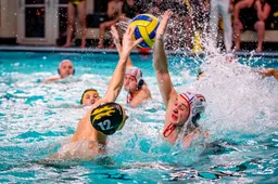 versteeg av producties jv 20