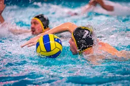 versteeg av producties jv 9