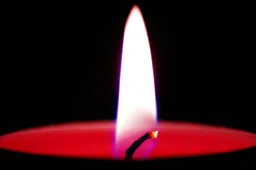 pexels-eye4dtail-689998