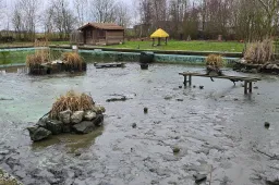 643756223_1339401411560175_3201575463665980964_n