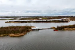 8897a787-e3cb-4b29-a4a1-06e1e5de5387