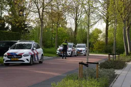 a6d86ebe-fe57-407d-8d39-e41ef5cfc093