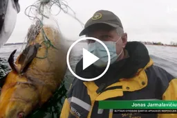 Per aplinkosaugininkų reidą ištraukti keli šimtai metrų tinklų