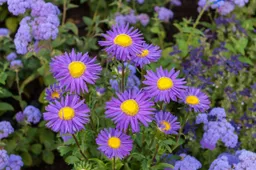 Kviečia bendruomenes dalyvauti aplinkosauginių iniciatyvų konkurse „Mažiau atliekų – daugiau žiedų“