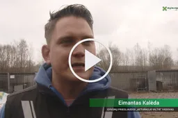 Prasideda privalomas augintinių žymėjimas