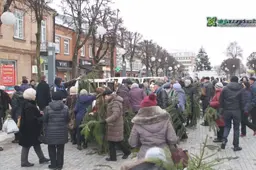 Dovanotas Kalėdų medžio šakas miestelėnai gabeno ir dviračiais (VIDEO. NUOTRAUKOS)