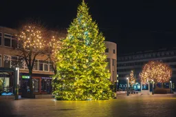 Kviečia aplankyti šventiškai spindinčią Alytaus miesto eglutę