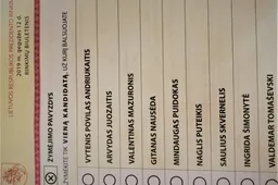 Alytaus mieste ir rajone laimėjo G. Nausėda, į kitą turą pateko ir I. Šimonytė