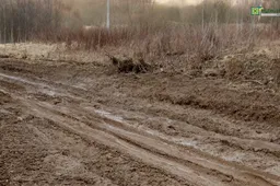 Kreipėsi dėl sunkiai pravažiuojamo Kalesninkų kelio