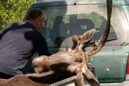 Po rytinio „prasipūtimo“ – dovanėlės vairuotojams