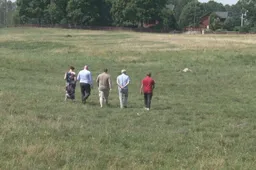 Vilkai įsisuko į ganyklą Alytaus rajone