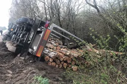 Miškavežio vairuotojas pasielgė džentelmeniškai, tačiau tai jam kainavo