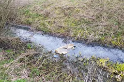 Melioracijos griovys – fekalijų vamzdis?