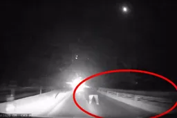 Vyras iš Geištarų kelią namo pasirinko rizikuodamas gyvybe