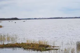 Leidus žvejybą Žuvinto rezervate – daugybė pažeidimų