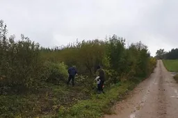 Pataisos namų vyrai dirba išsijuosę